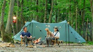 Camping in the forest enjoying the sounds of nature | cozy camping | ASMR