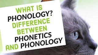 What is Phonology | Difference Between Phonetics And Phonology |Natural Class of Sounds [Urdu/Hindi]