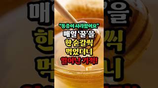 매일 꿀을 한 스푼 먹으면 일어나는 기적같은 효과!