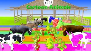 Paint Animals cow lion dinosaur elephant bear checken leopard hippo dog cat - Paint Color #part35