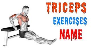 Triceps Exercises name ??for Beginners —Fitness my Dream