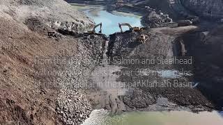 Salmon Return to the Klamath River