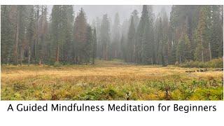 Mindfulness Meditation - A Guided Meditation for Beginners