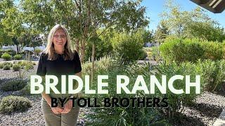 Bridle Ranch- Luxury Homes in Queen Creek, AZ