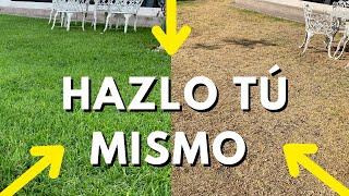 ️ Cómo REVIVIR un Pasto Seco ??  3 soluciones low-cost 