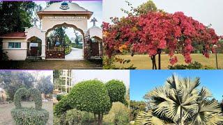 Global Peace Park Butwal/ Peace Park/ Dhabaha / 2024