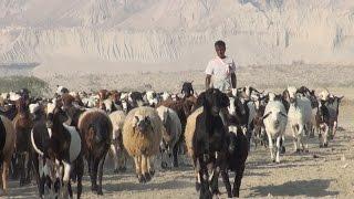 Rural Iran - Shots from the Countryside