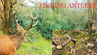 Finding Antlers 2023