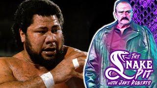 Jake The Snake Roberts Tells his WILDEST Haku Stories