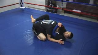 Posture Breaking From The Guard Part 2