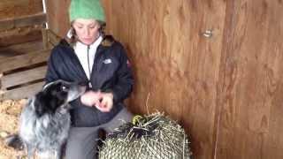 How to hang your Handy Hay Nets with hardware.