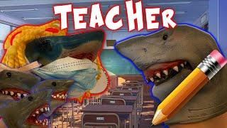 SHARK PUPPET THE TEACHER!!!!!