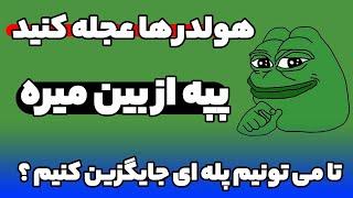 ارز Pepe : هولدر های پپه عجله کنید پپه از بین می‌ره آیا ؟ تا می تونیم پله ای جایگزین کنیم !