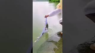 How to Use Fishing Net Trap to Fishing