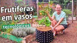 How to Plant Fruit Trees in Technological Pots  Planting and Cover Fertilization 