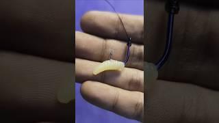 Easy Way to Put Fishing Bait on the Hook #shorts #fishing #tutorial