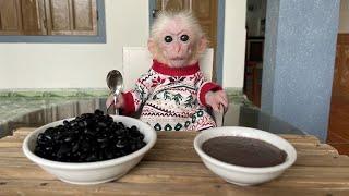 Monkey Poor enjoys healthy black bean sweet soup!