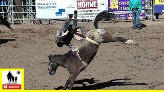 Bareback Bronc Riding - 2022 Lost Dutchman Days Rodeo | Saturday