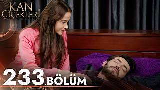 Kan Çiçekleri 233. Bölüm