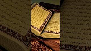 quran Pak ki 8 khubsurat bate# islamic video