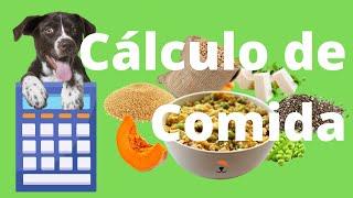 como calcular a quantidade de comida diária parte 2