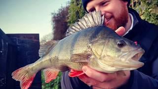 What is BFS??? Introduction to BFS Fishing for Big Perch and beyond!