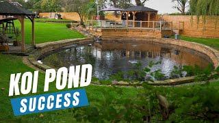 Koi Pond Build & Maintenance | Expert Tips for Thriving Koi Fish!