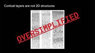 Faruk Gulban: Introduction: Why are we doing layer-fMRI