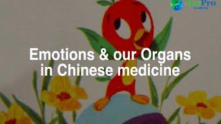 The 7 Emotions in Chinese medicine