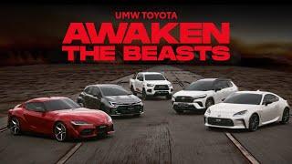 Awaken The Beasts