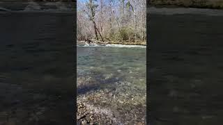 Oconaluftee river at the great smoky mountains national park