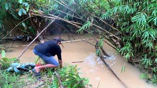 Joran sampai terbang.!!! Di tarik ikan lele monster mancing ikan lele monster di bawah bambu-bambu