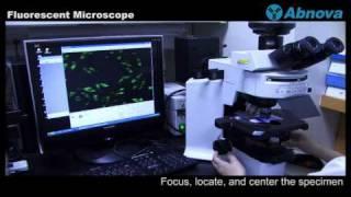 Fluorescent Microscope