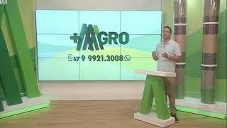 Intervalo + Agro (08/10/2021) (1/2) TV Morena
