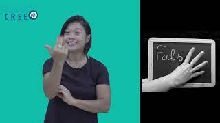 FALS 4