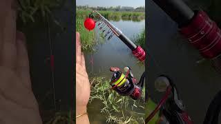 Best short and retractable mini rod for fish hunting #viralvideo #shorts #youtubeshorts