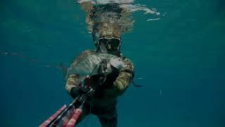 Pesca subacquea 2020 - Spearfishing - Gran Canaria
