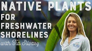 Native Plants for Freshwater Shorelines with Tia Silvasy 4K