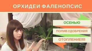 Орхидеи Фаленопсис Осенью: Уход, Полив, Удобрение, Батареи