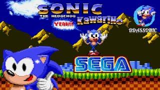 Sonic The Hedgehog KawariNo (New Update 2024) • Sonic Hack Longplay