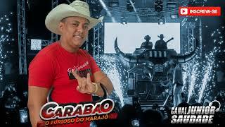 DJ MOYSÉS SANTIAGO  - CARABAO NO CAMPO DA TF 17.02.24