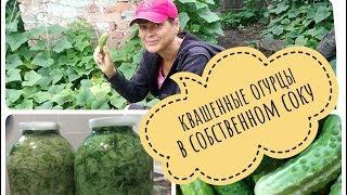 Простой способ  заквасить огурцы.Проще только съесть сырыми!| #ВкусняшиУНаташи