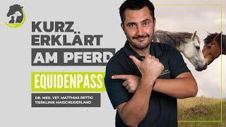 EQUIDENPASS - Schlachtpferdestatus und Mirkochip? Was beinhaltet der Pass? Kurz erklärt am Pferd.