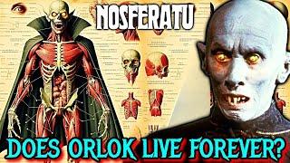 Count Orlok Origin & Anatomy Explored - How Does Orlok Bend Others To His Will? (Nosferatu 1922)