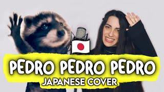 Pedro Pedro Pedro - (Japanese Cover) ​ ft @NimieIvy  [Raffaella Carrà]