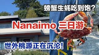 我们回来啦！ 温哥华岛Nanaimo｜民宿地下室也能看海景|岛上homeless 问题也这么严重？