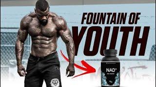 Fountain Of Youth | Slow Down Aging | Mike Rashid NAD3