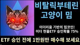 비탈릭 부테린이 키우는 고양이 밈코인! 이 밈코인이 이더리움 밈코인 대장!