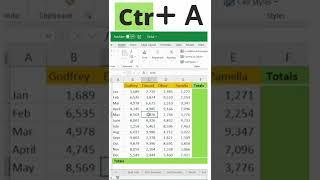 How to Auto sum rows or columns in excel without using any formula