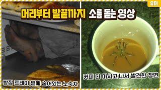 와 닭살 돋는다;; 보는 순간 머리부터 발끝까지 소름 돋는 영상